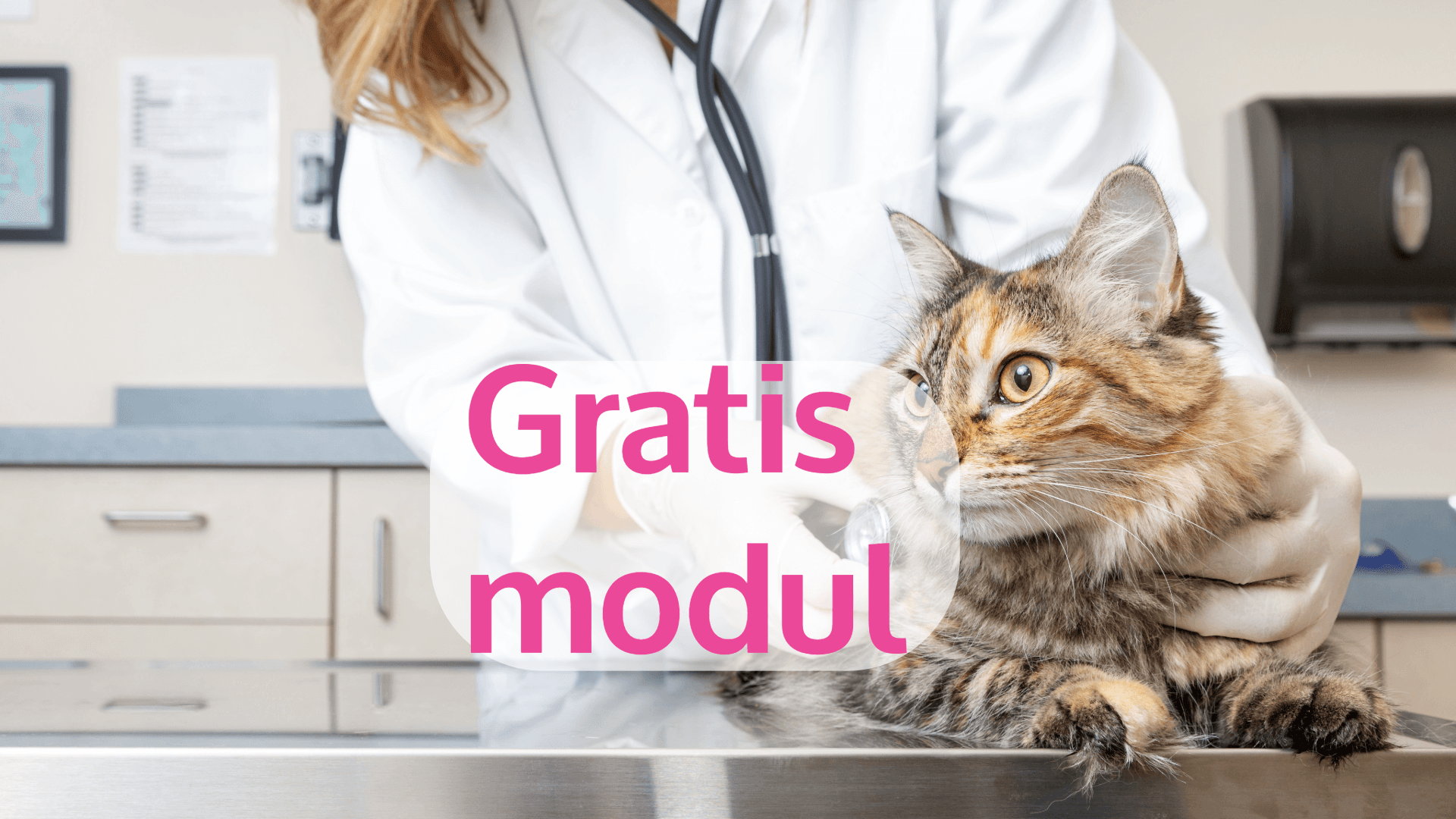 Gratismodul - Hvordan tilnærme deg akutte pasienter?