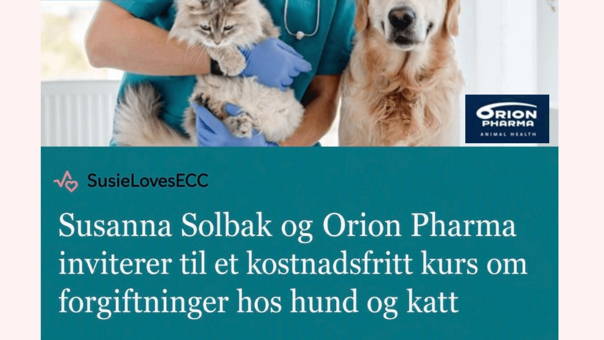 Forgiftninger hos hund og katt - En systematisk tilnærming